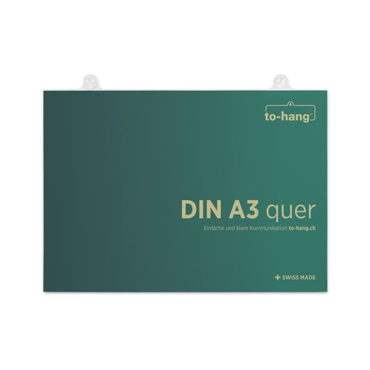 Info-Rahmen   DIN A3, quer