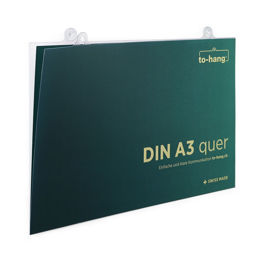 Info-Rahmen   DIN A3, quer